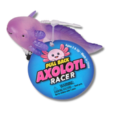 Pull Back Axolotl Kids Toy In Bulk - Assorted